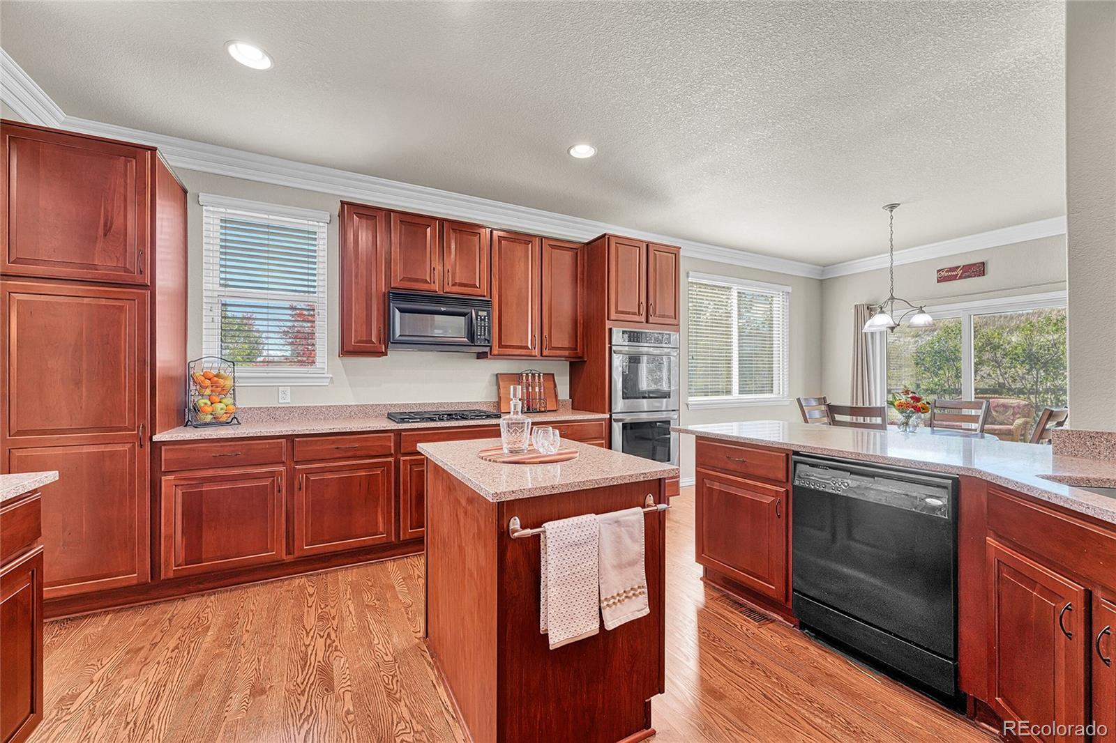 MLS Image #9 for 16204 e swift fox place,parker, Colorado