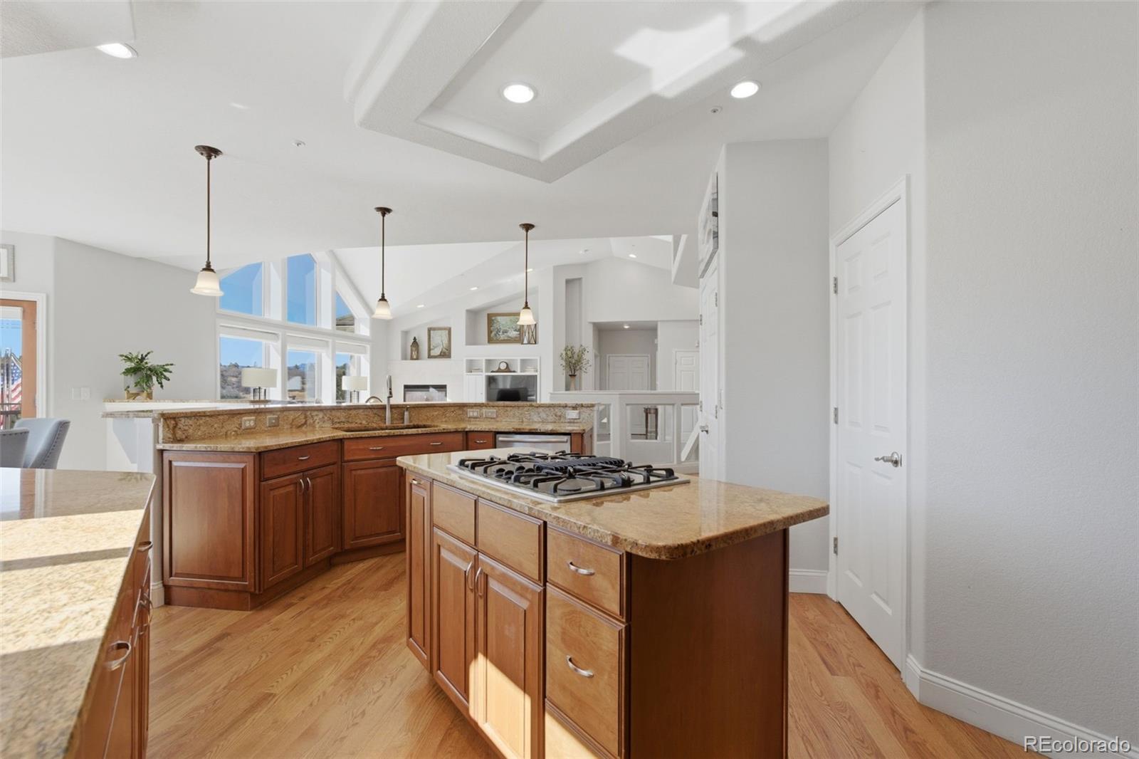 MLS Image #17 for 1190  wintergate circle,castle rock, Colorado
