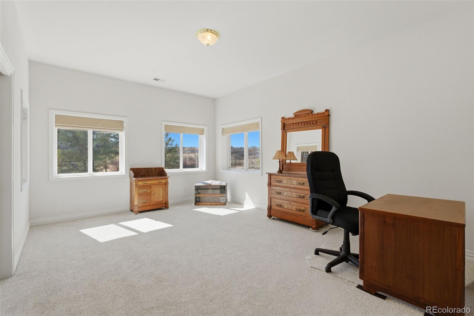 MLS Image #36 for 1190  wintergate circle,castle rock, Colorado