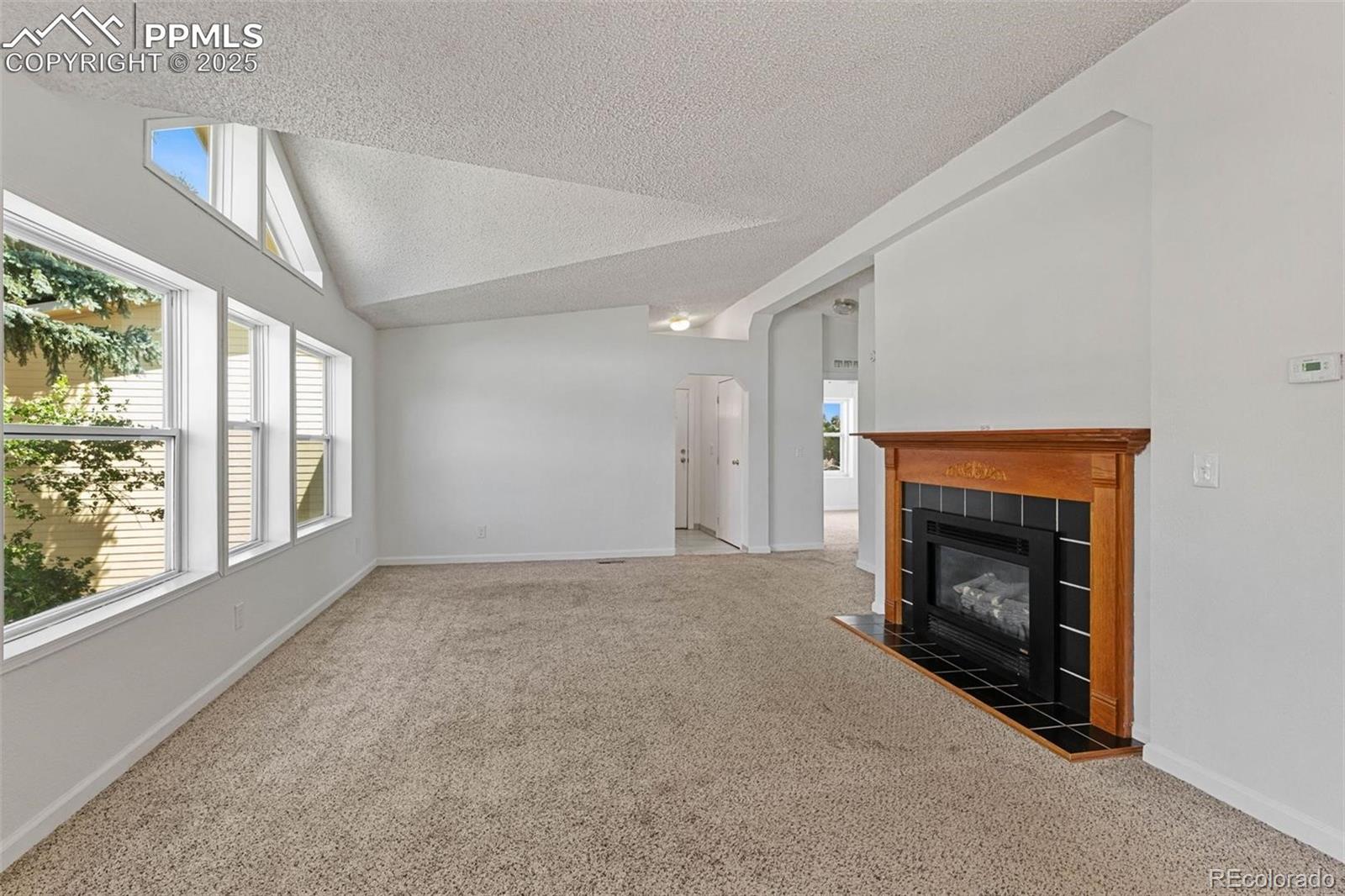 MLS Image #6 for 4006  gray fox heights,colorado springs, Colorado