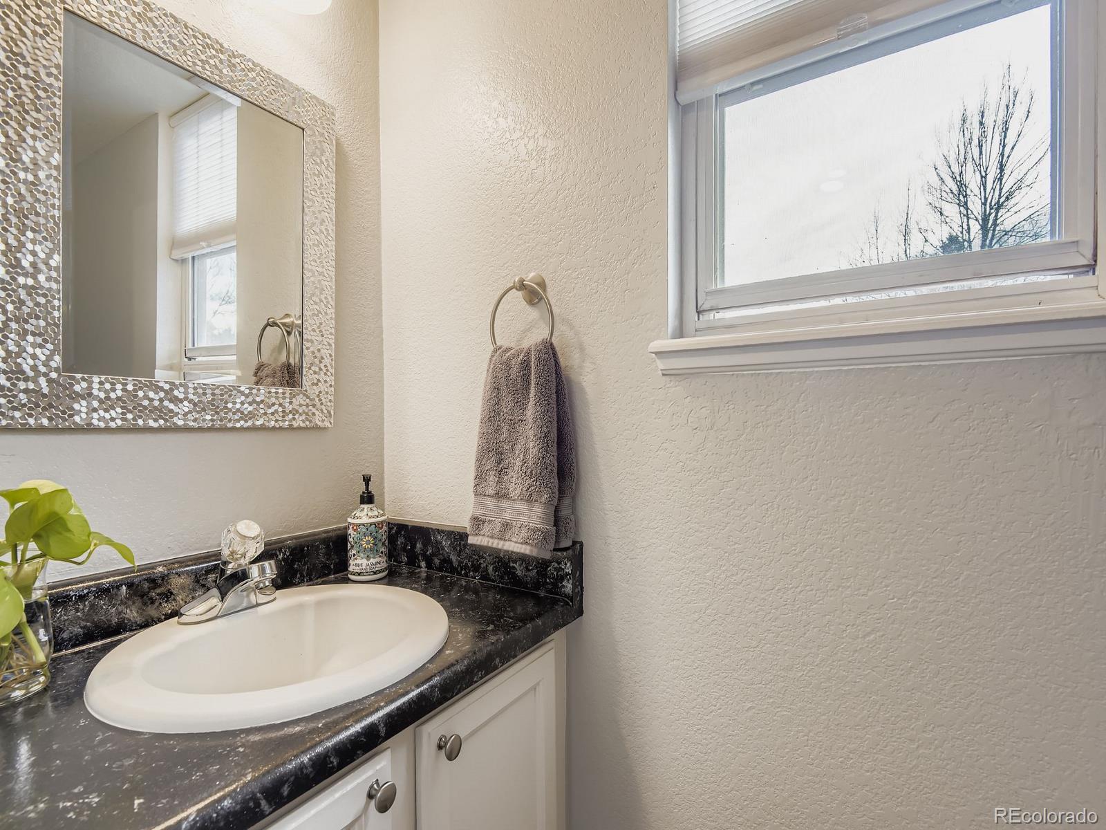 MLS Image #10 for 10647  apishamore court,parker, Colorado