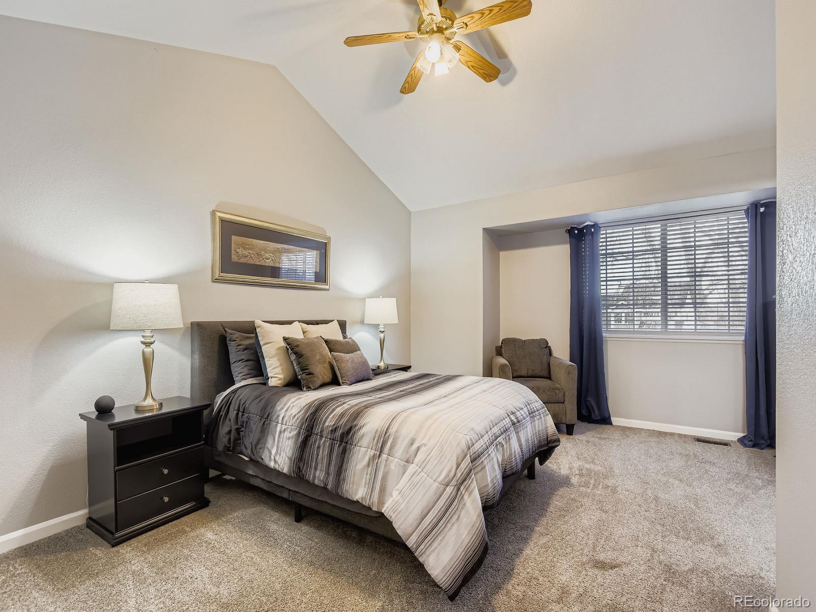 MLS Image #11 for 10647  apishamore court,parker, Colorado