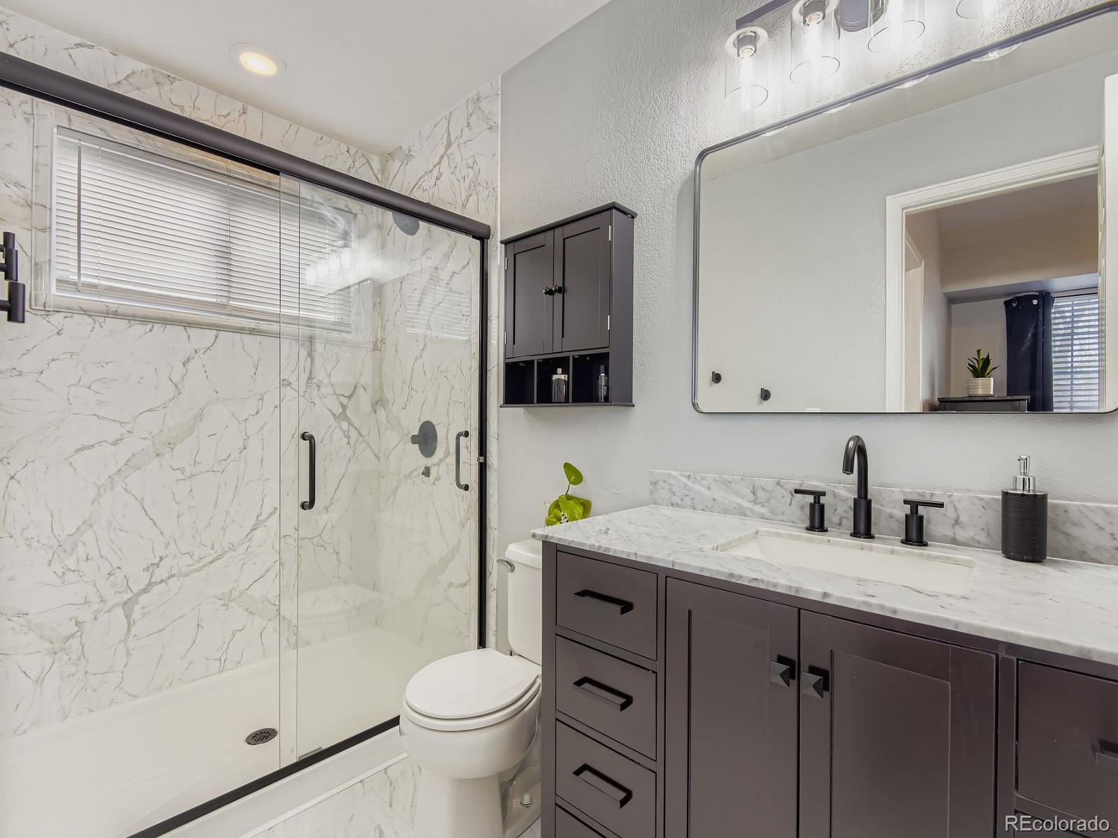MLS Image #12 for 10647  apishamore court,parker, Colorado