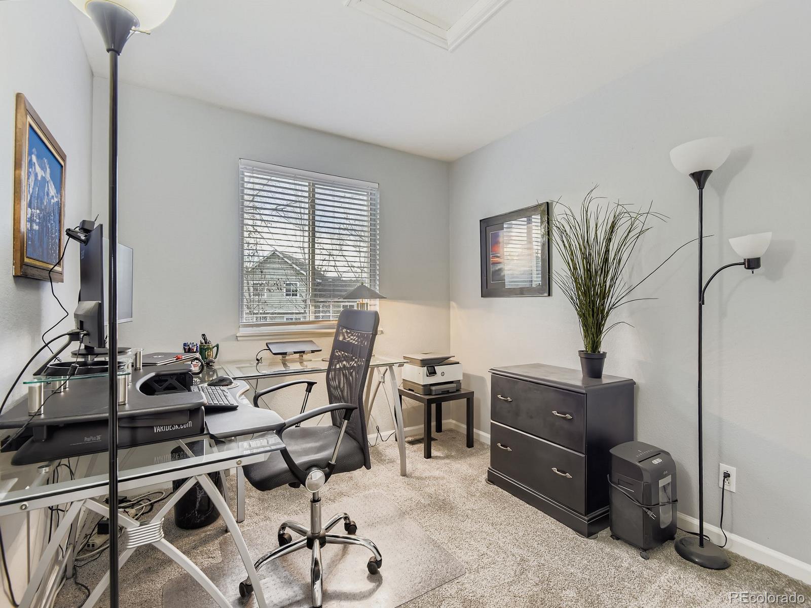 MLS Image #13 for 10647  apishamore court,parker, Colorado