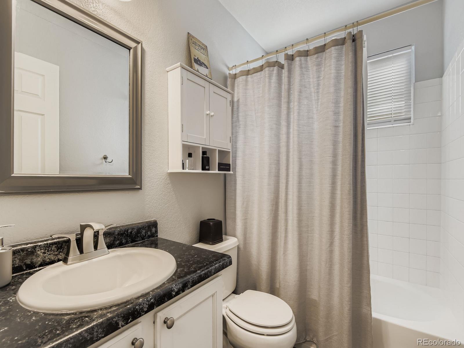 MLS Image #14 for 10647  apishamore court,parker, Colorado