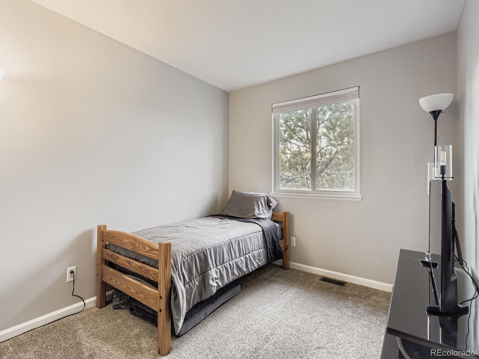 MLS Image #15 for 10647  apishamore court,parker, Colorado