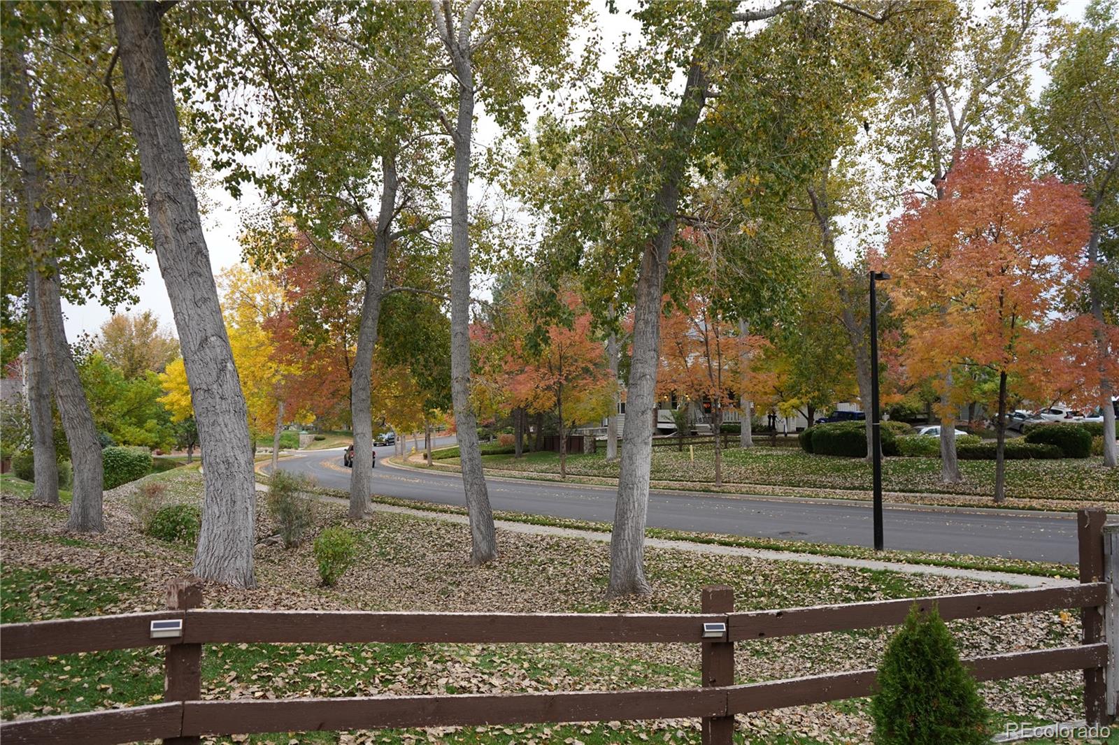MLS Image #18 for 10647  apishamore court,parker, Colorado