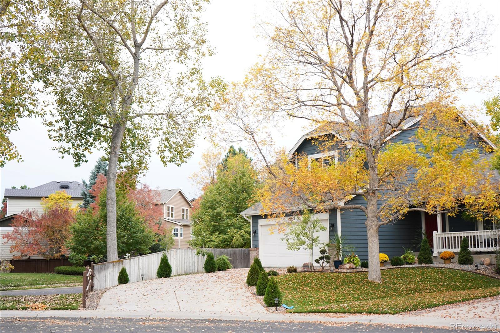 MLS Image #2 for 10647  apishamore court,parker, Colorado