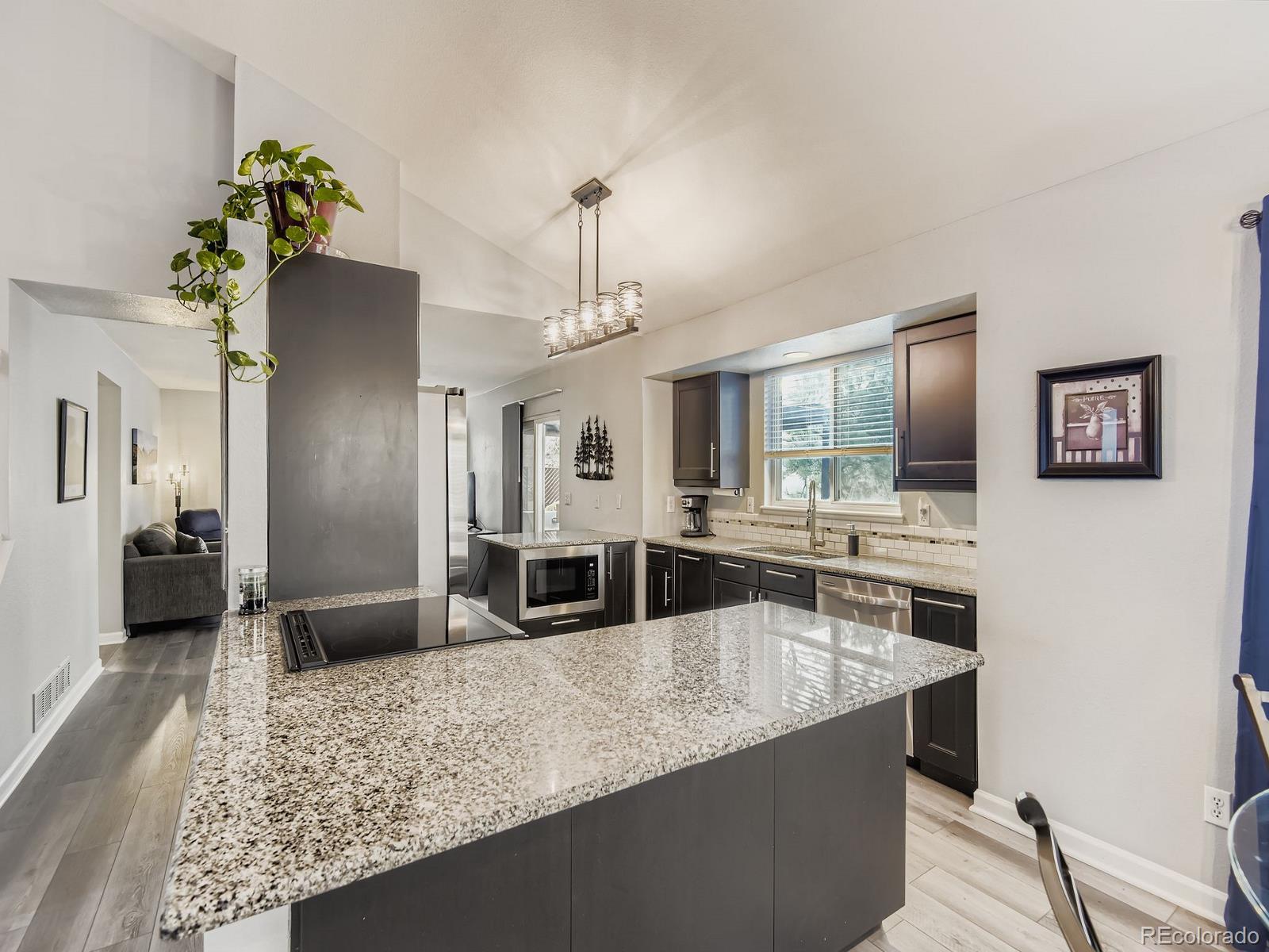 MLS Image #6 for 10647  apishamore court,parker, Colorado