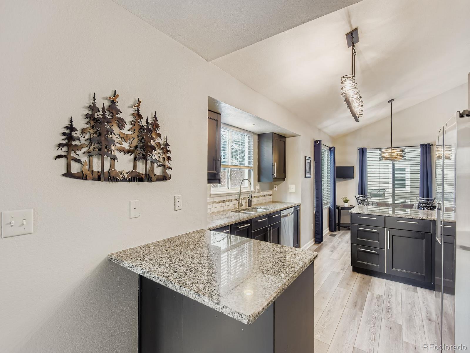 MLS Image #7 for 10647  apishamore court,parker, Colorado