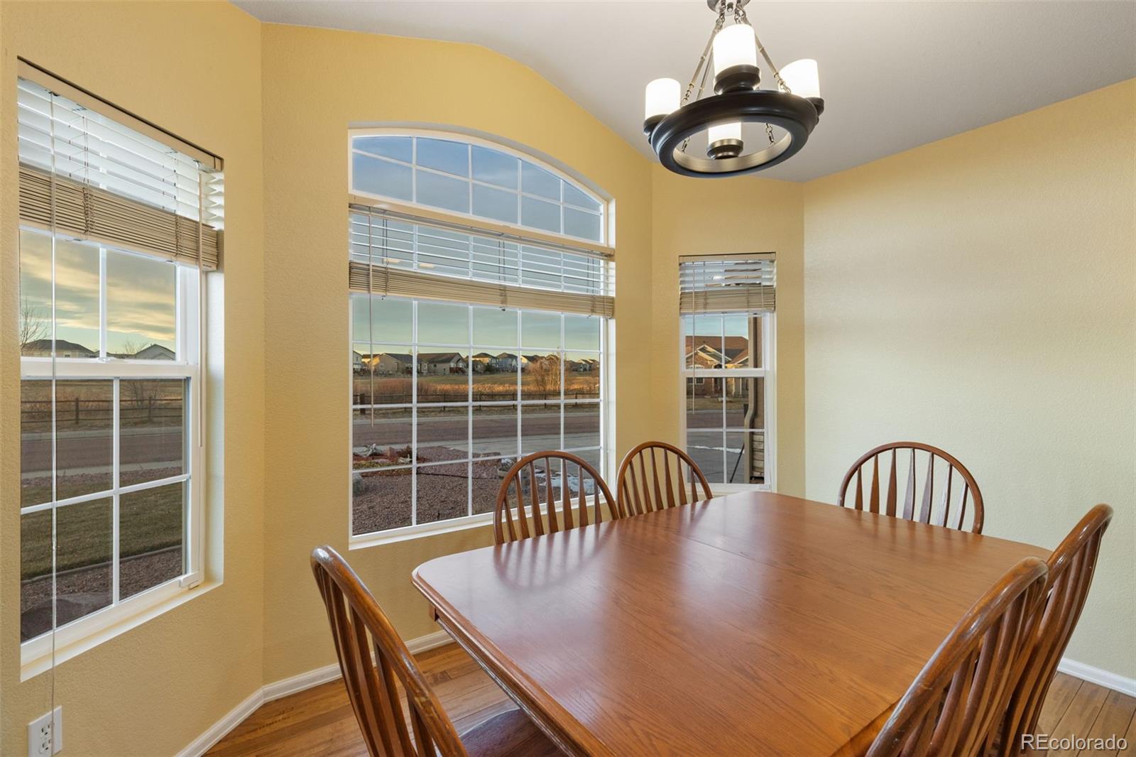MLS Image #15 for 9015  oakmont road,peyton, Colorado