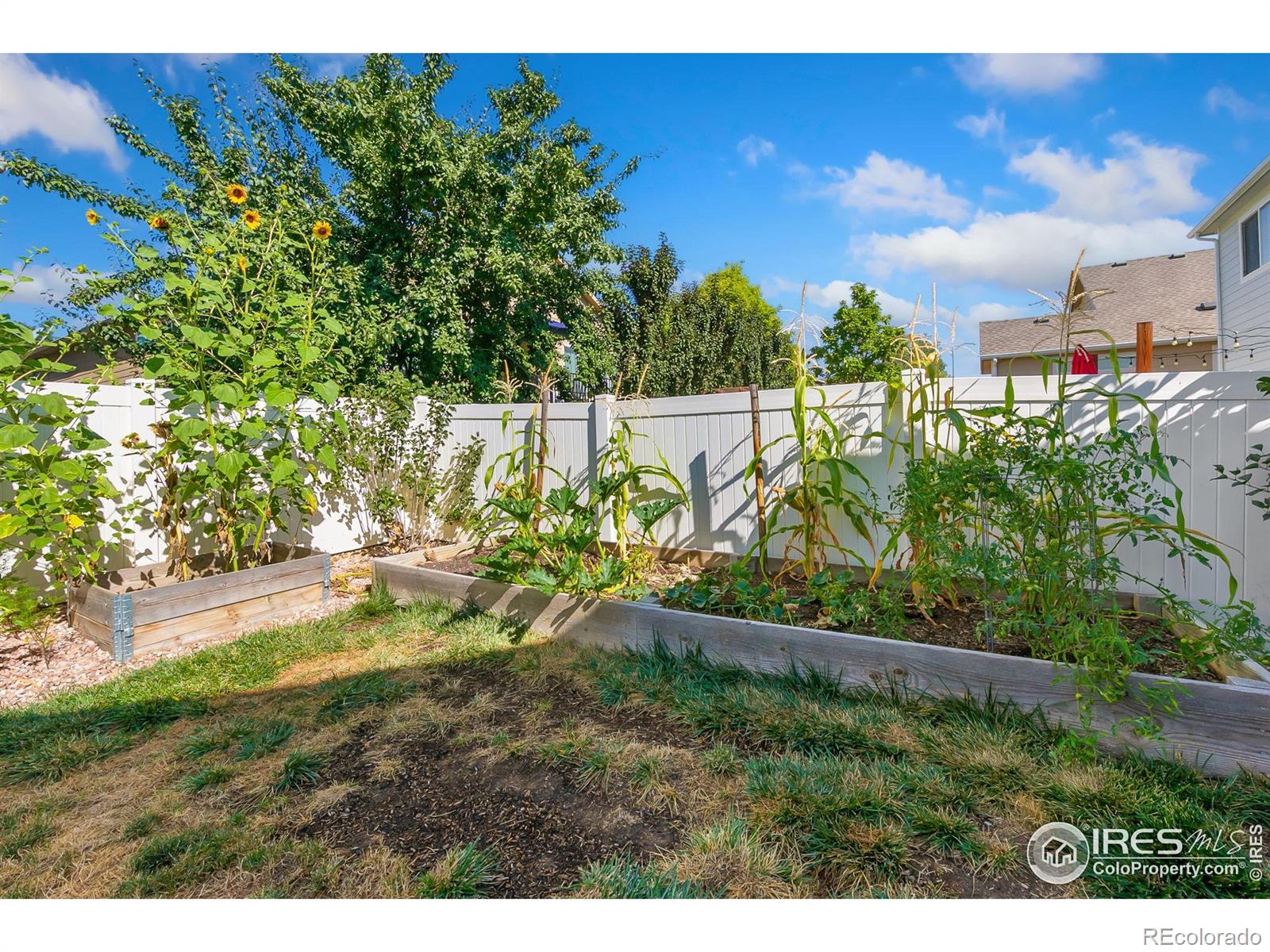 MLS Image #38 for 2513  banbury lane,fort collins, Colorado