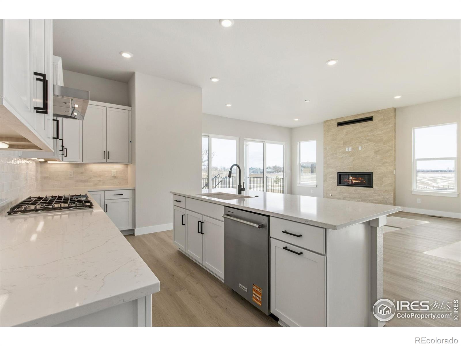 MLS Image #11 for 1296  weller street,timnath, Colorado