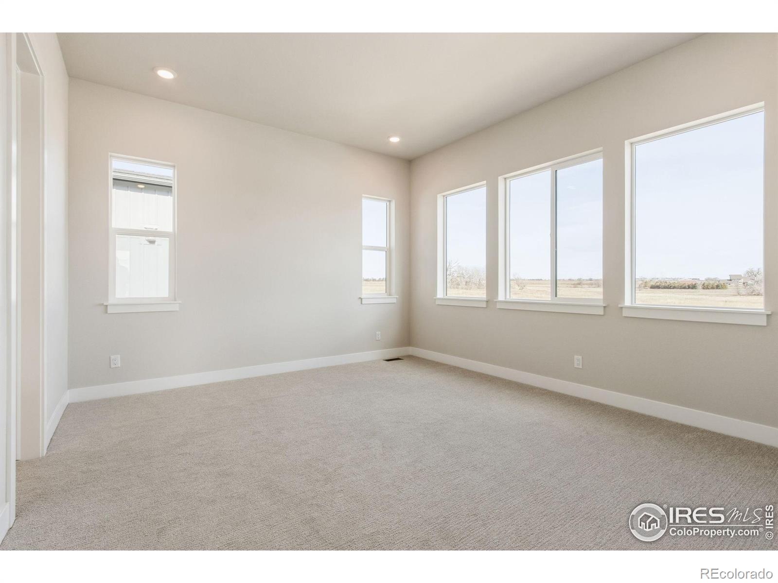 MLS Image #13 for 1296  weller street,timnath, Colorado