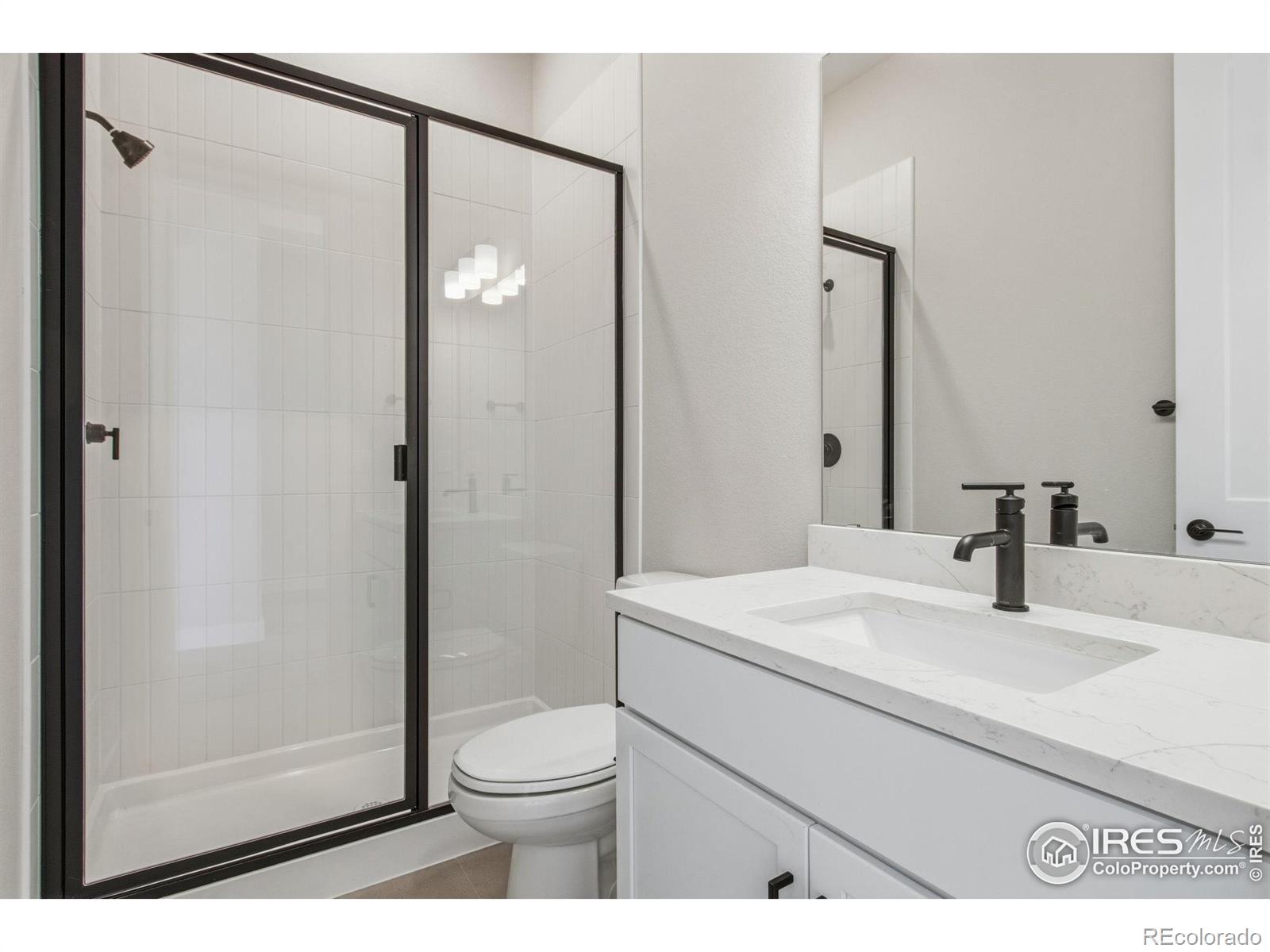 MLS Image #20 for 1296  weller street,timnath, Colorado