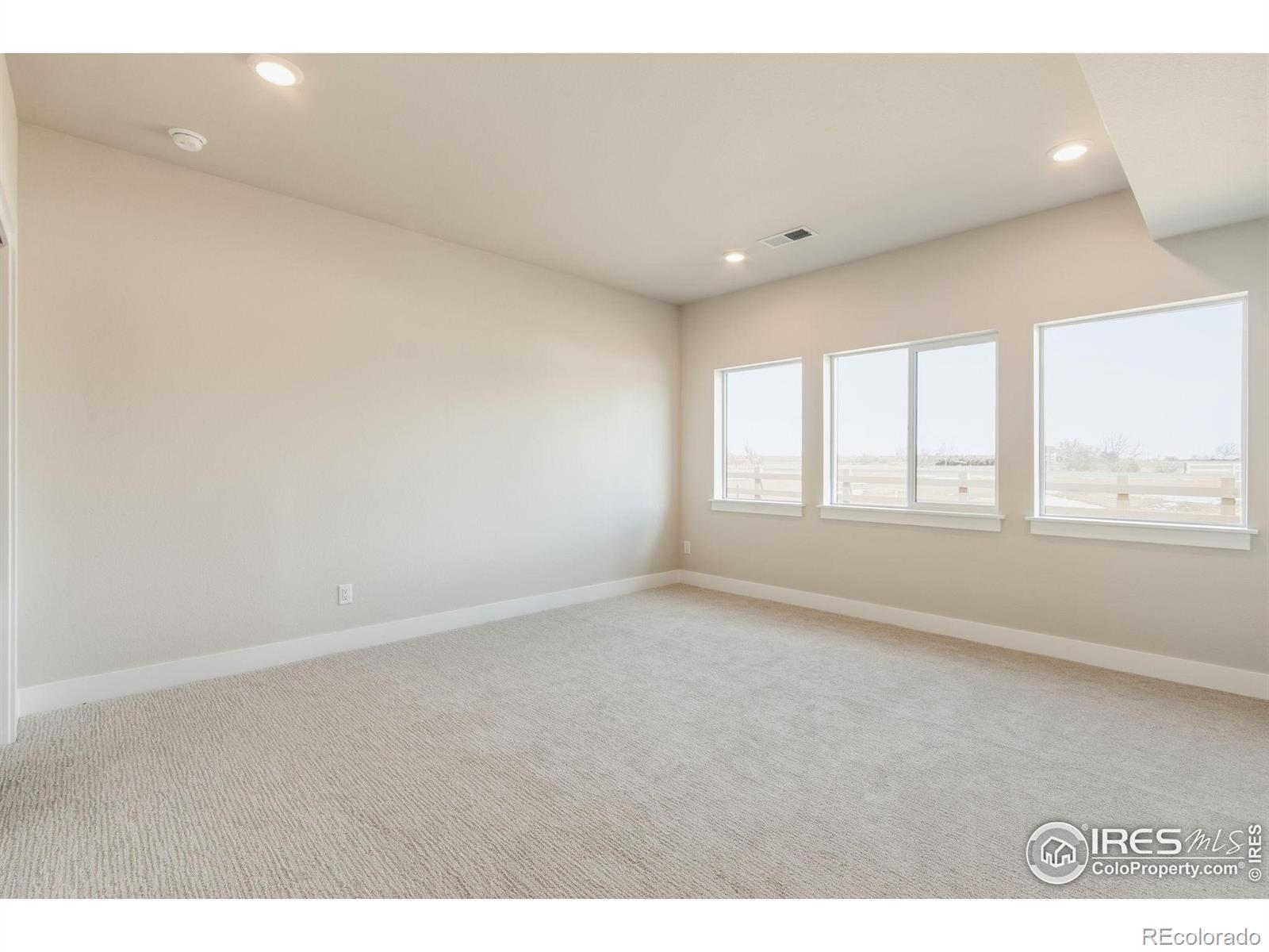 MLS Image #24 for 1296  weller street,timnath, Colorado