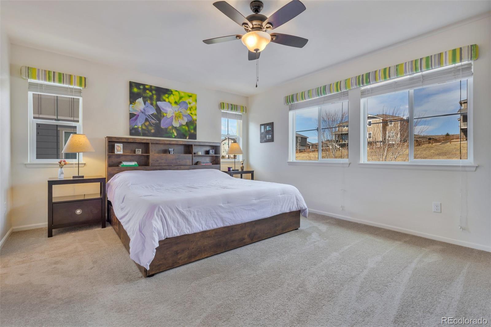 MLS Image #19 for 16575 w 94th drive,arvada, Colorado