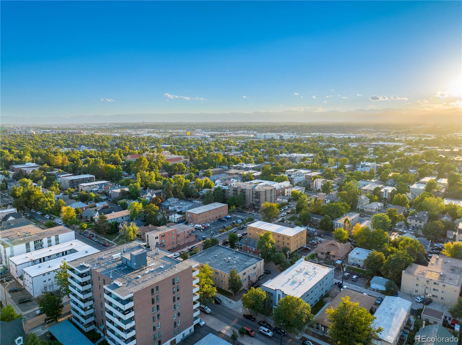 MLS Image #44 for 45 n ogden street 204,denver, Colorado