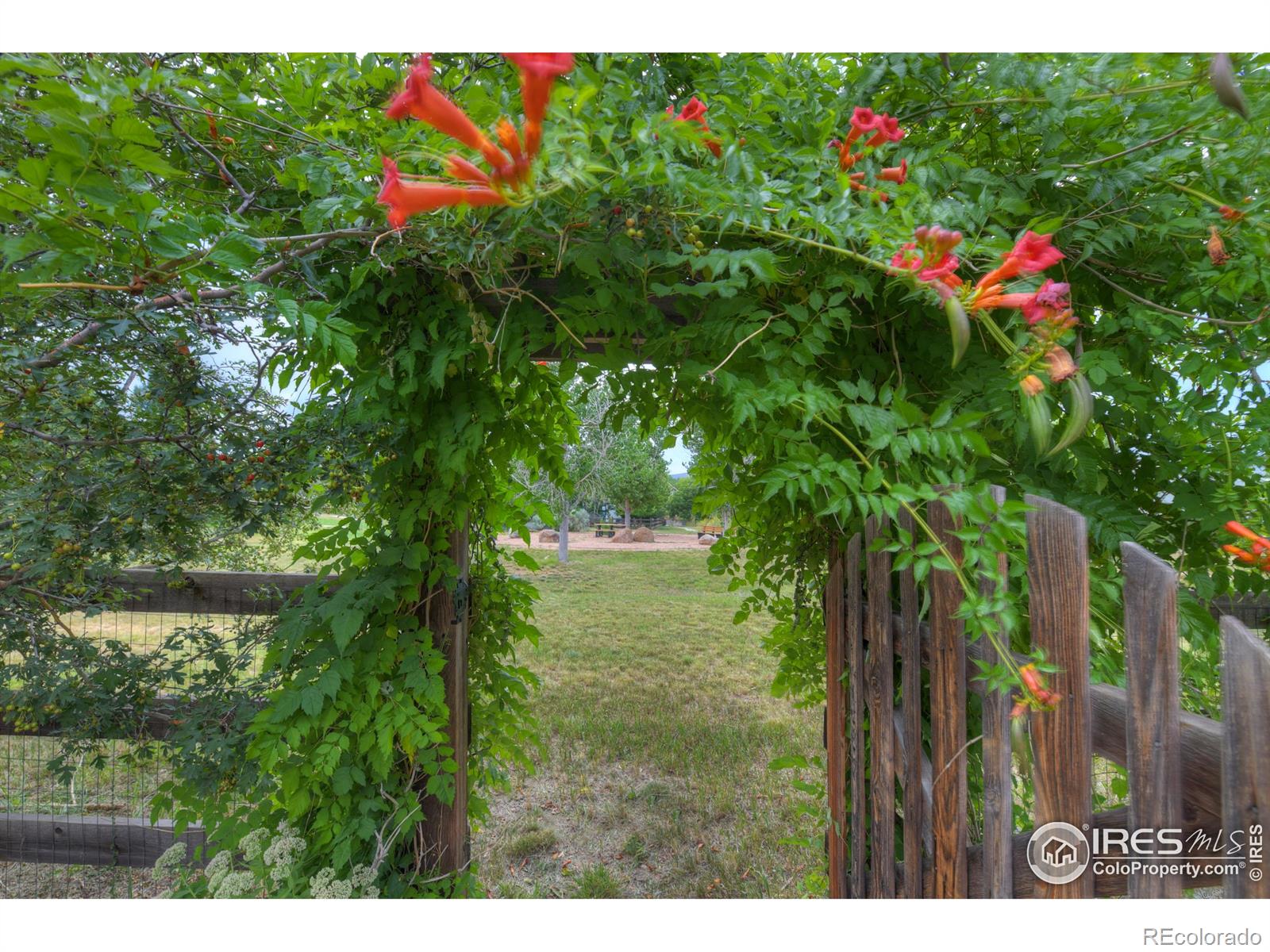 MLS Image #13 for 417  raymond court,lyons, Colorado