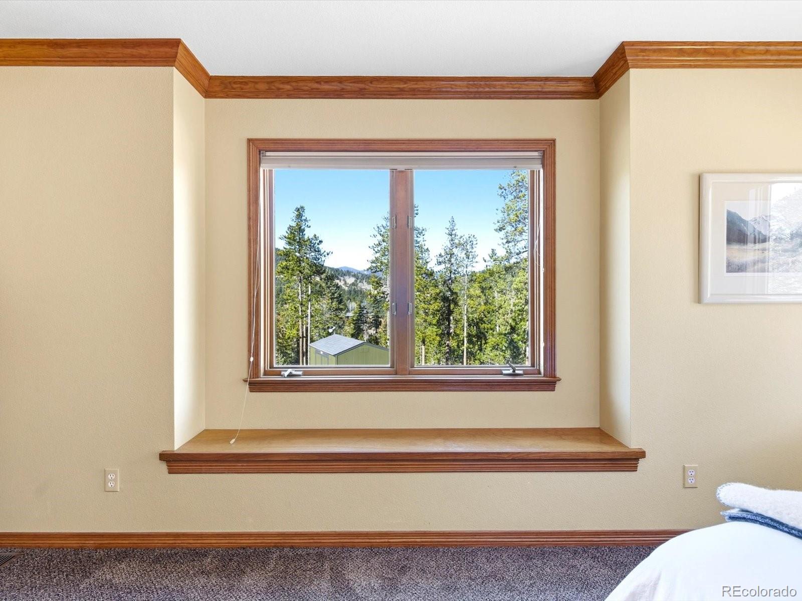 MLS Image #24 for 30819  manitoba drive,evergreen, Colorado