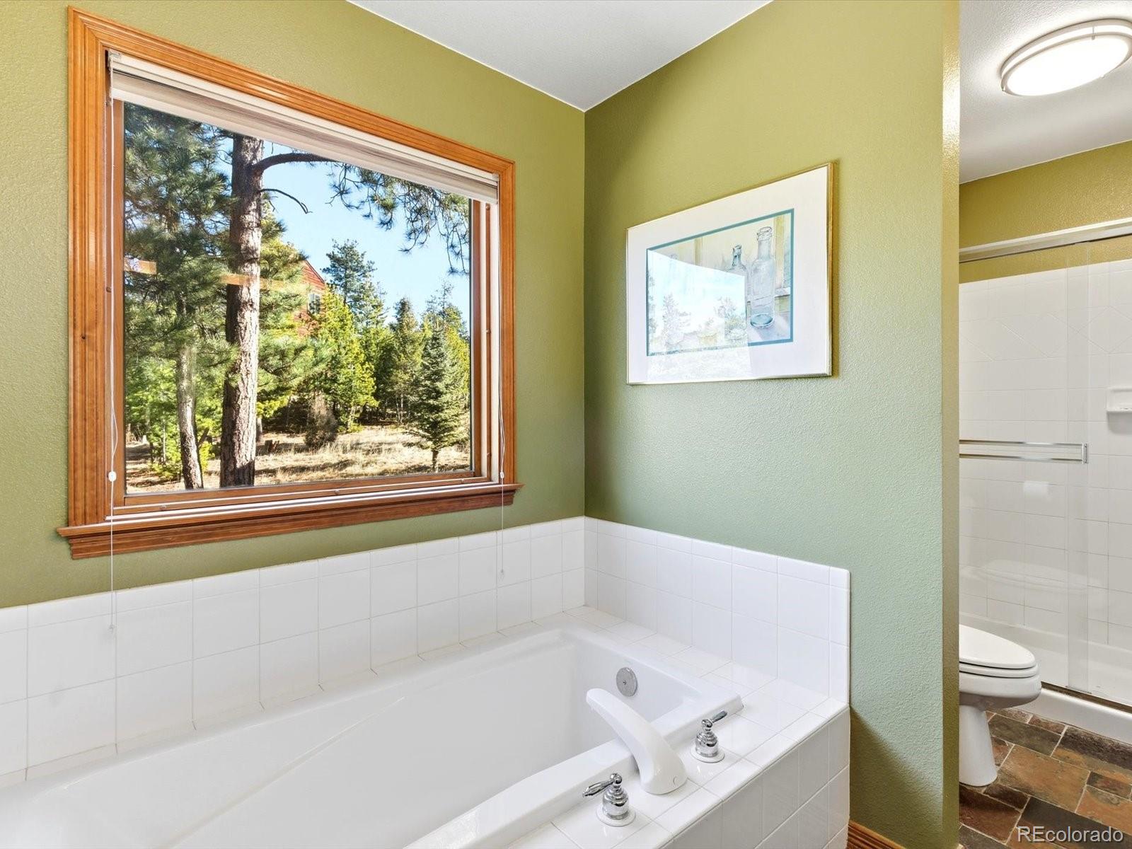 MLS Image #26 for 30819  manitoba drive,evergreen, Colorado