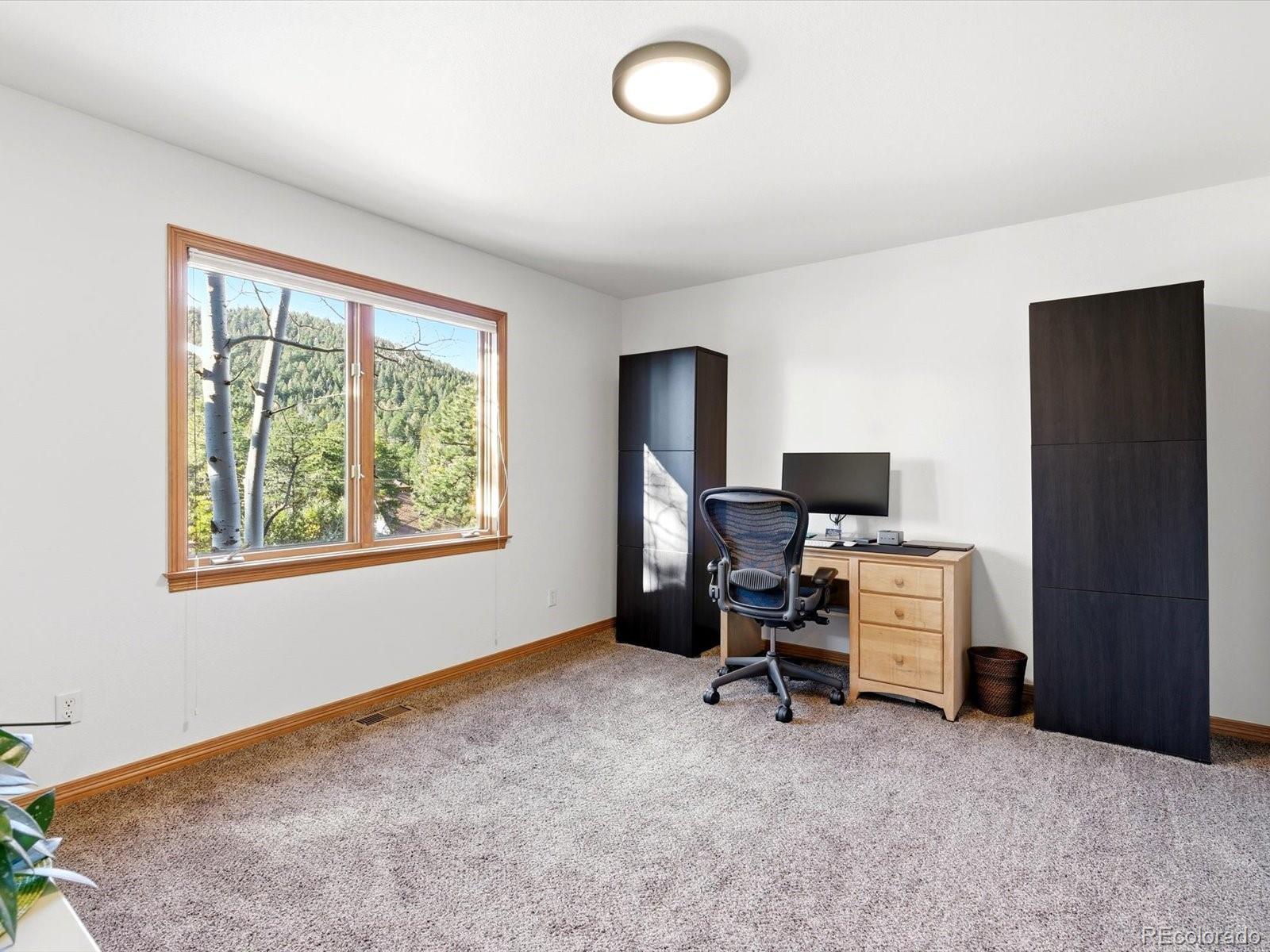 MLS Image #28 for 30819  manitoba drive,evergreen, Colorado