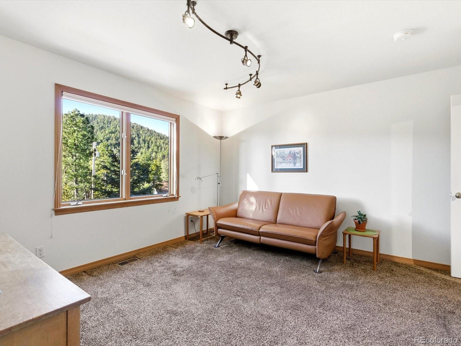 MLS Image #30 for 30819  manitoba drive,evergreen, Colorado
