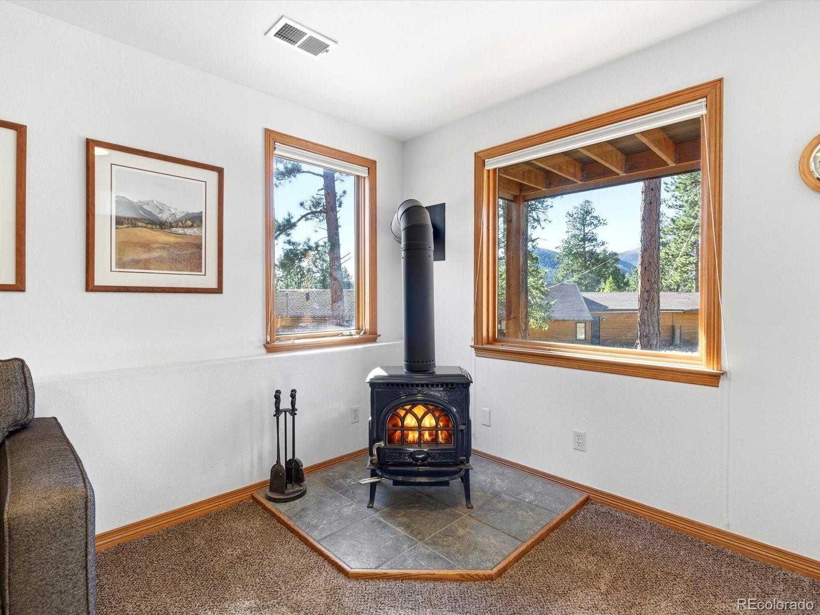 MLS Image #31 for 30819  manitoba drive,evergreen, Colorado