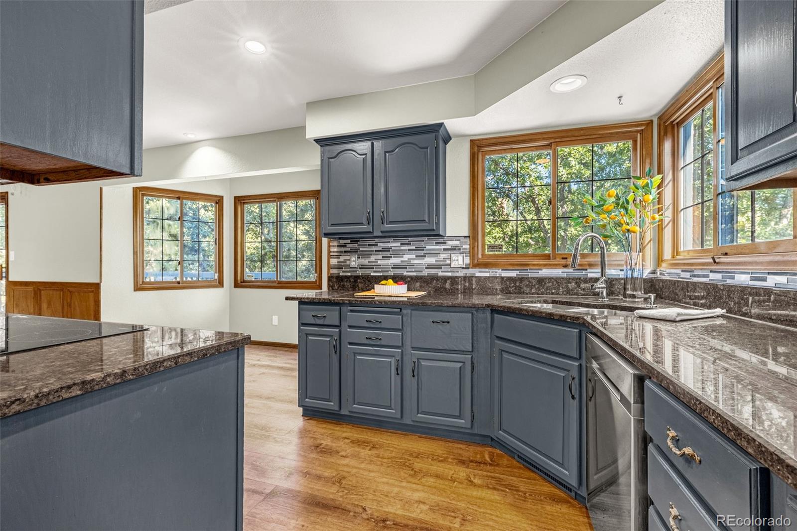 MLS Image #4 for 570  brandywine drive,colorado springs, Colorado