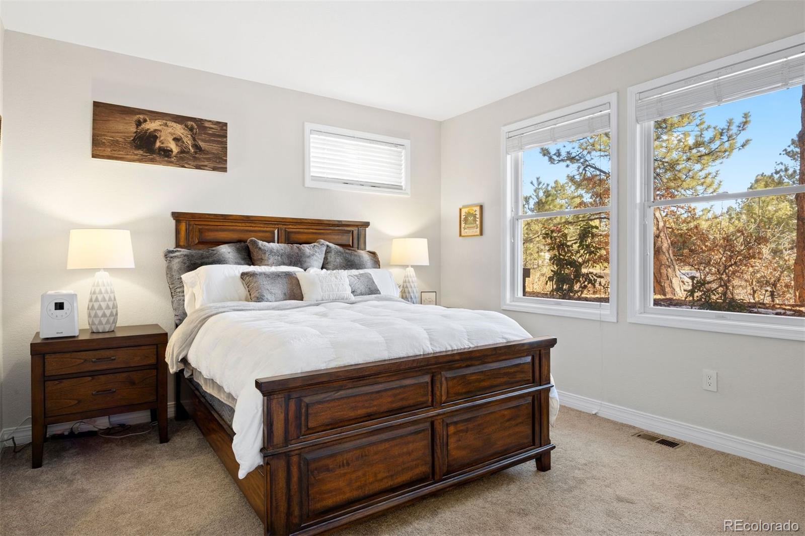 MLS Image #34 for 7164  havenwood drive,castle pines, Colorado