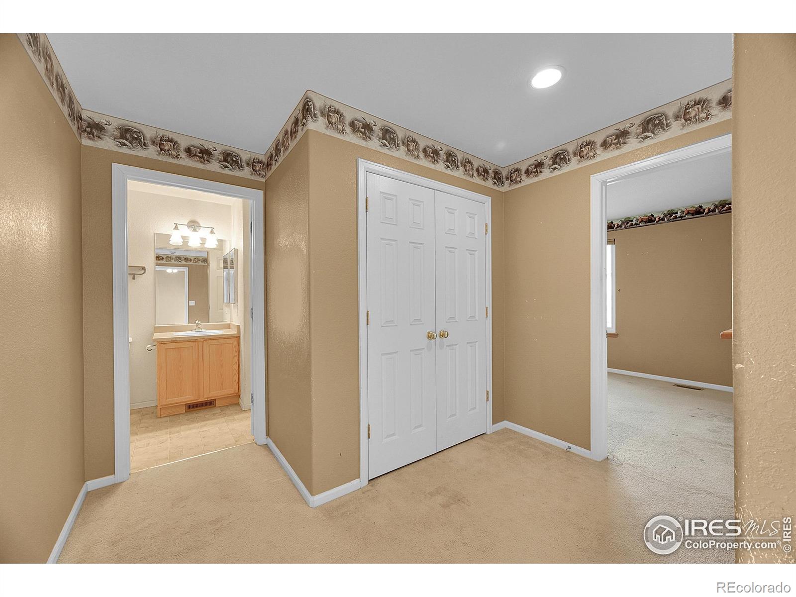 MLS Image #19 for 10411  durango place,longmont, Colorado