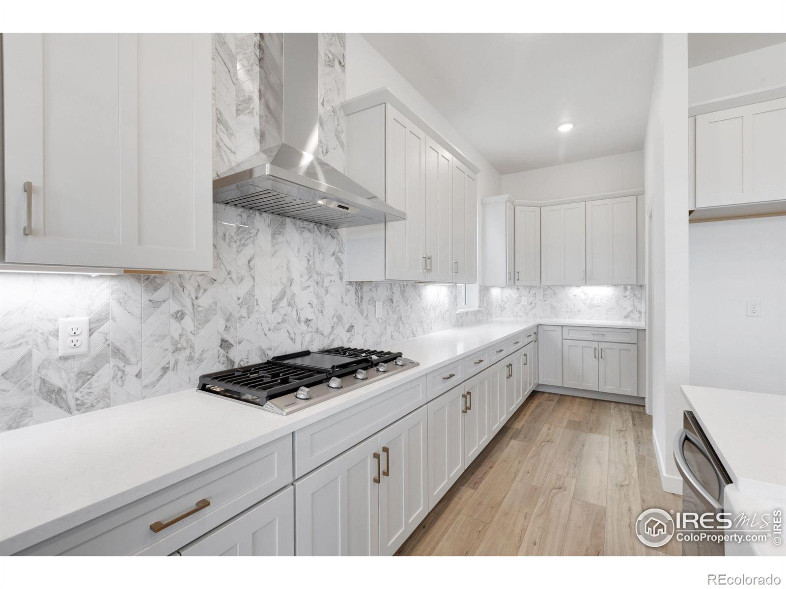 MLS Image #21 for 16873  ballinger circle,mead, Colorado