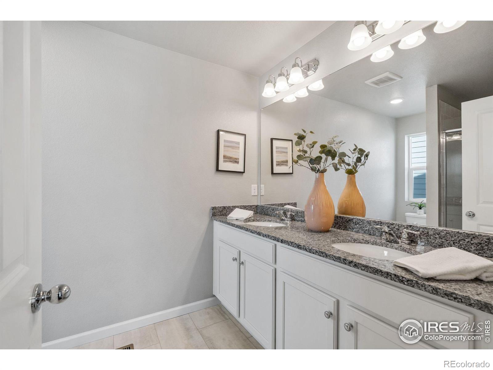 MLS Image #6 for 310  shoveler way,johnstown, Colorado