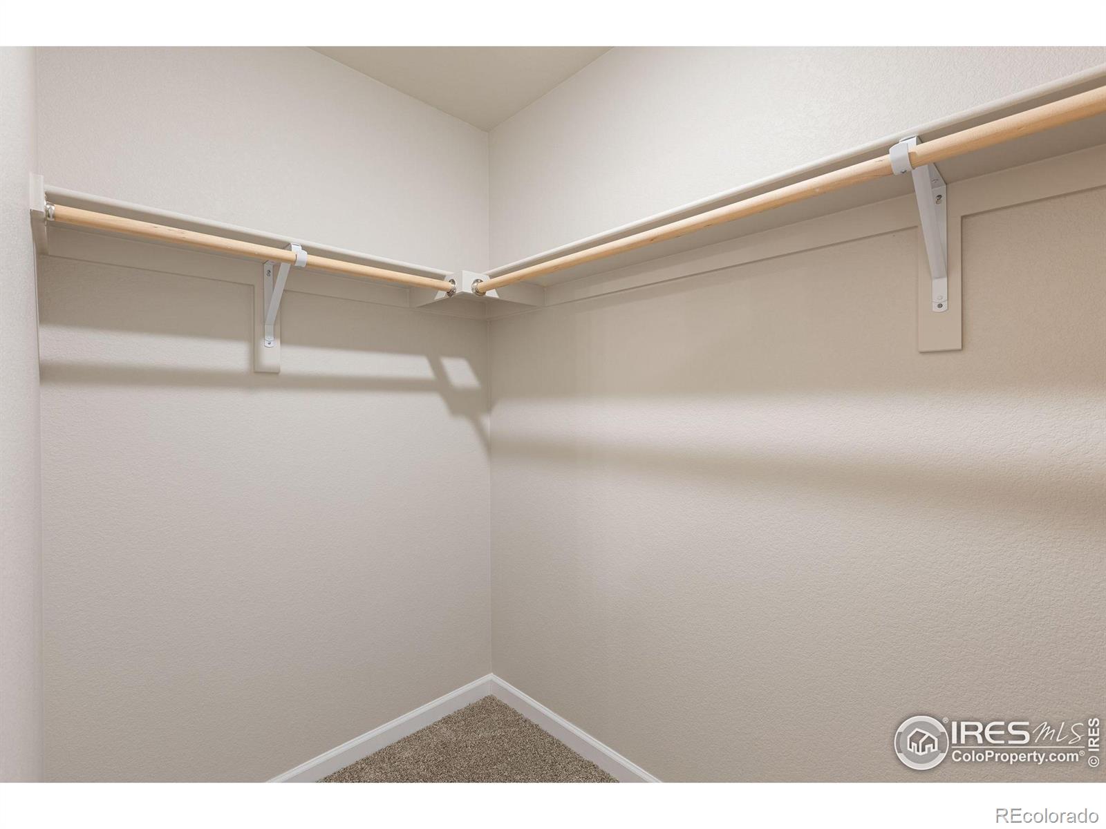 MLS Image #6 for 1444  coral place,longmont, Colorado