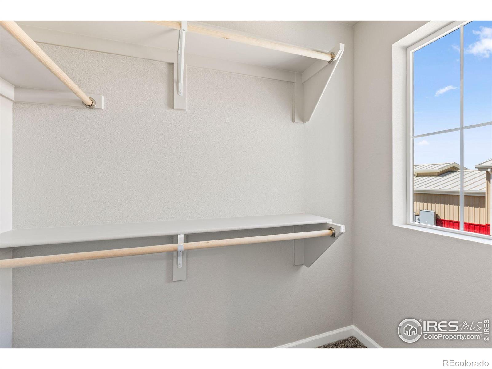 MLS Image #17 for 1446  coral place,longmont, Colorado
