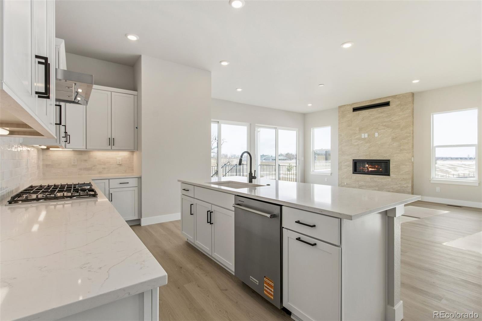 MLS Image #11 for 1296  weller street,timnath, Colorado