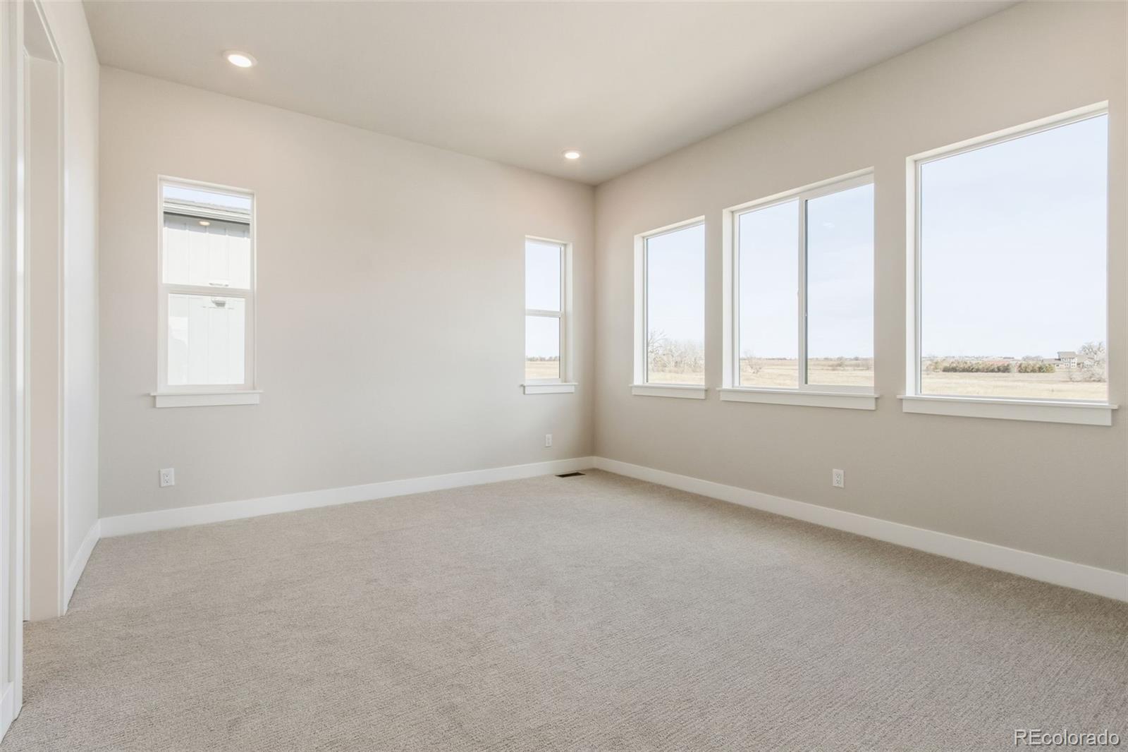 MLS Image #13 for 1296  weller street,timnath, Colorado