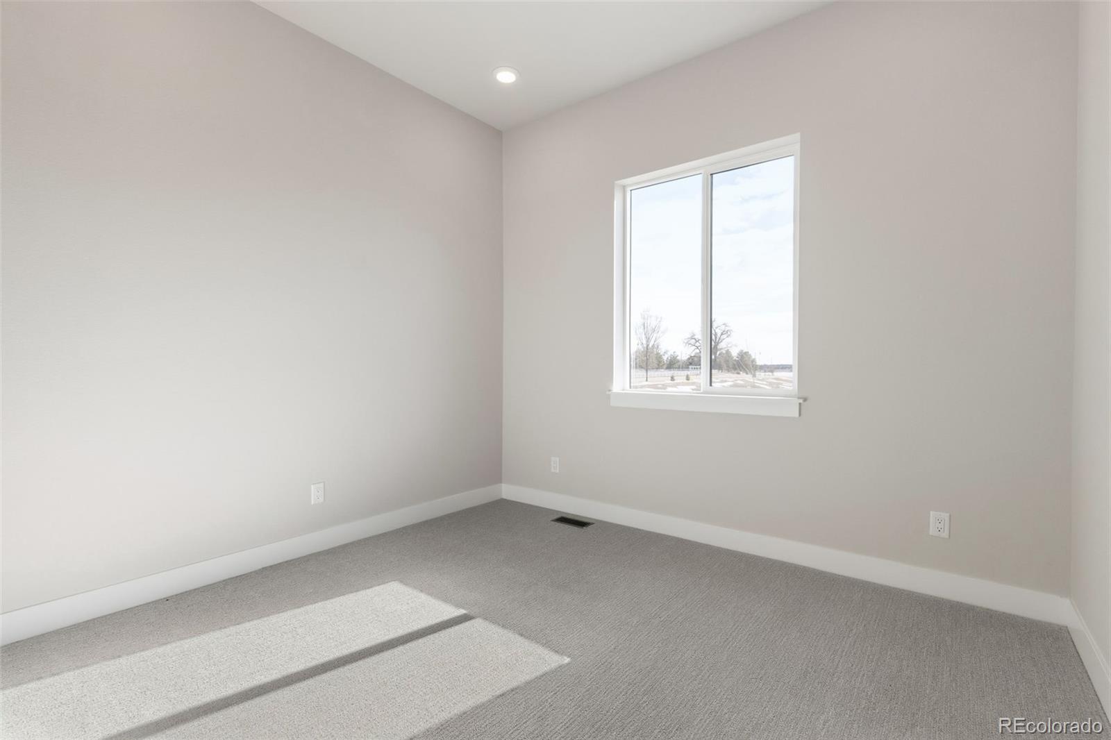 MLS Image #19 for 1296  weller street,timnath, Colorado