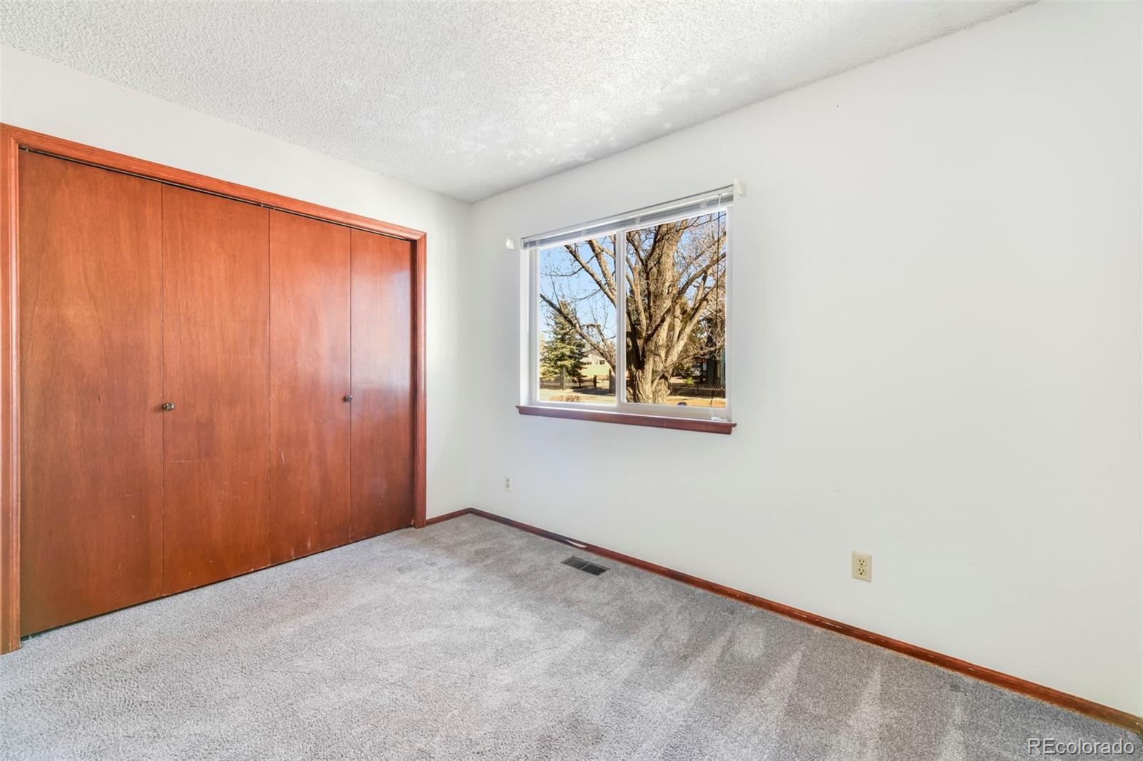 MLS Image #18 for 463 n washington street,monument, Colorado