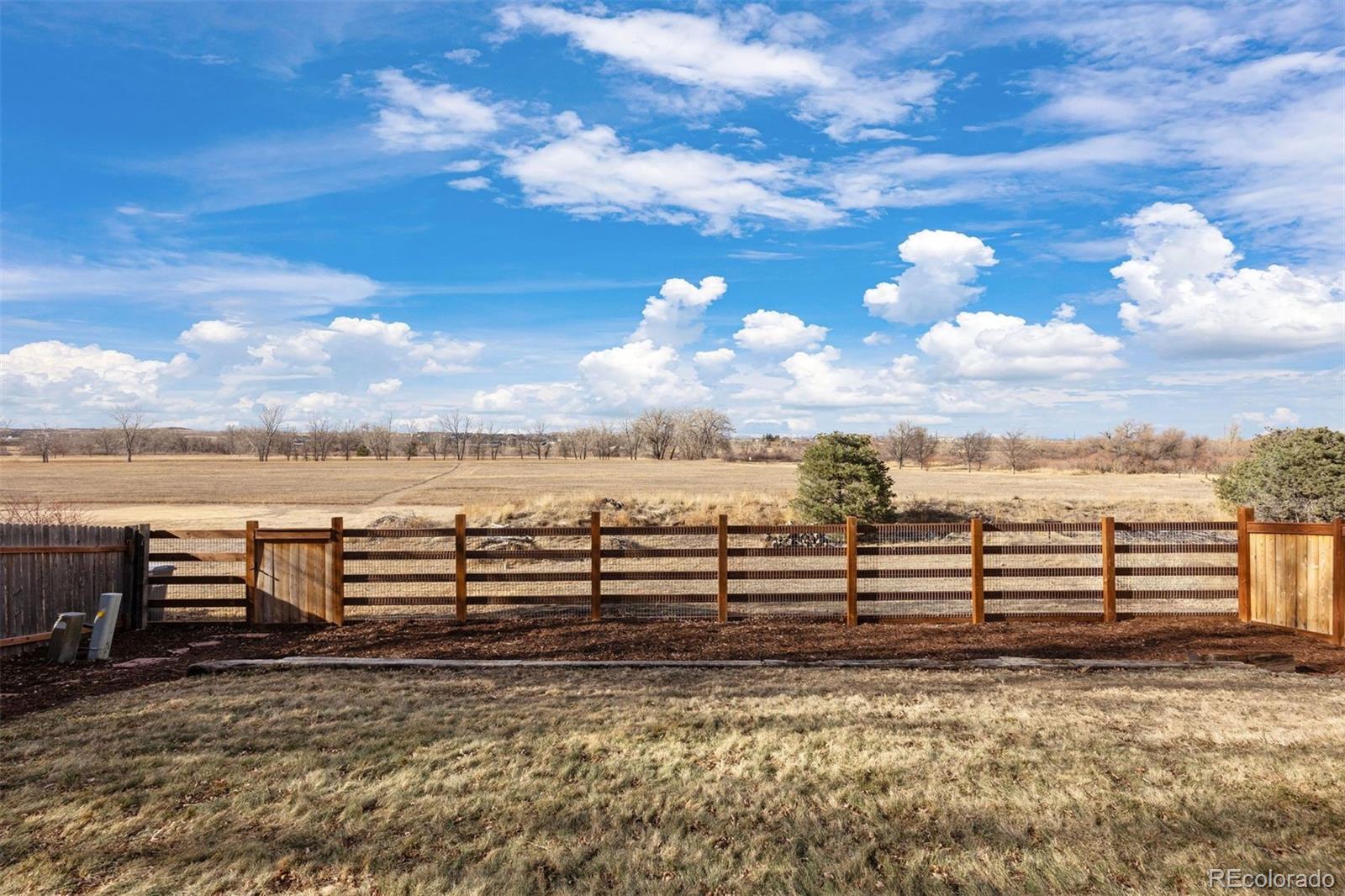 MLS Image #5 for 12399  country meadows drive,parker, Colorado