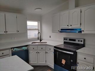 MLS Image #12 for 9108  mandel street,denver, Colorado