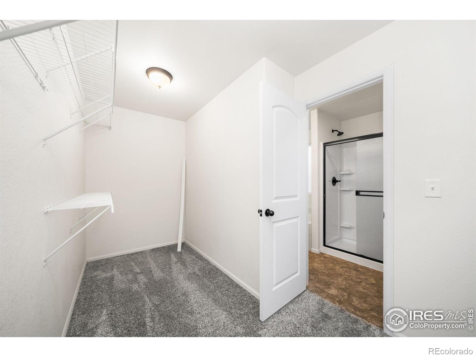 MLS Image #20 for 1521  woodcock street,berthoud, Colorado