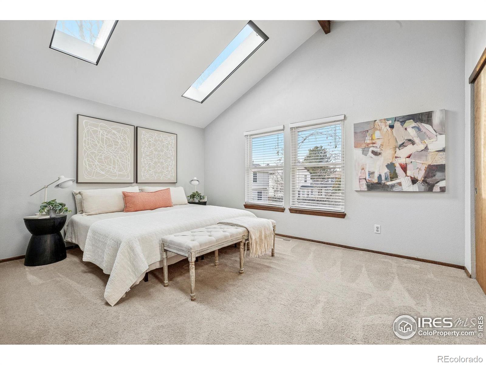 MLS Image #18 for 4541  ensenada street,denver, Colorado