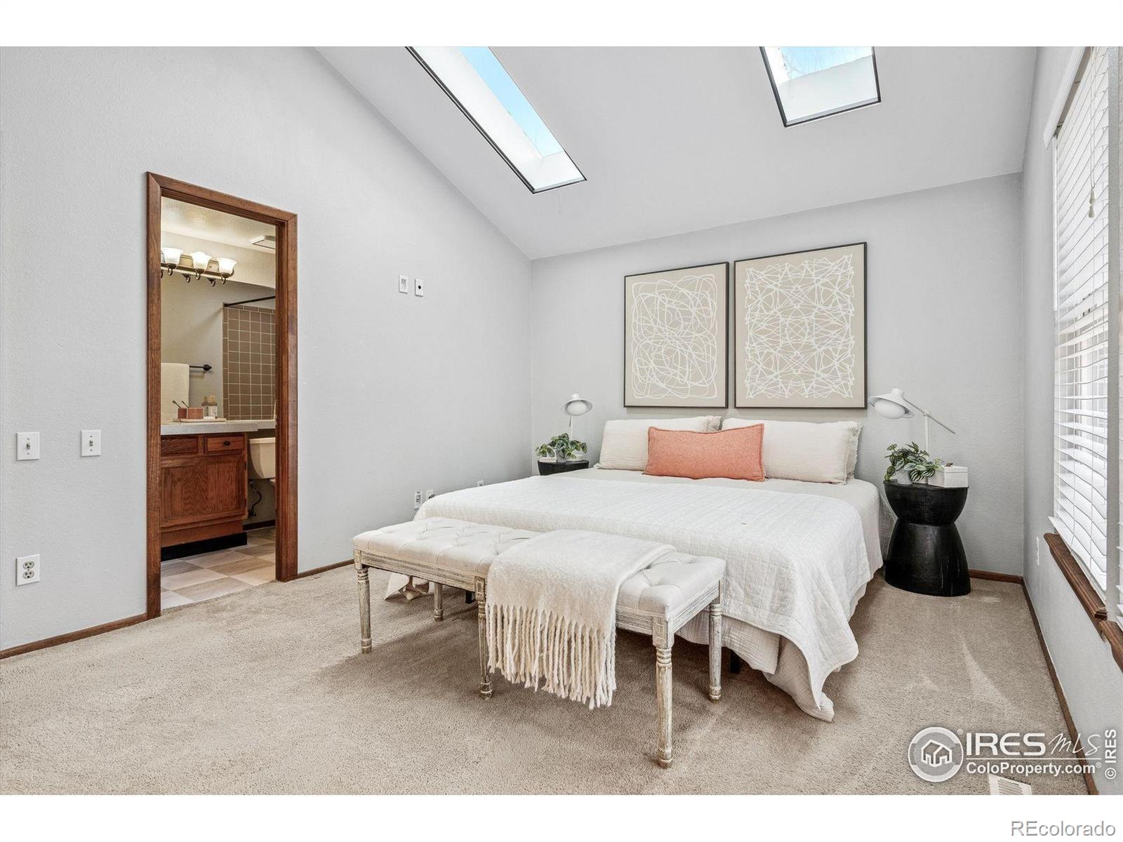 MLS Image #20 for 4541  ensenada street,denver, Colorado