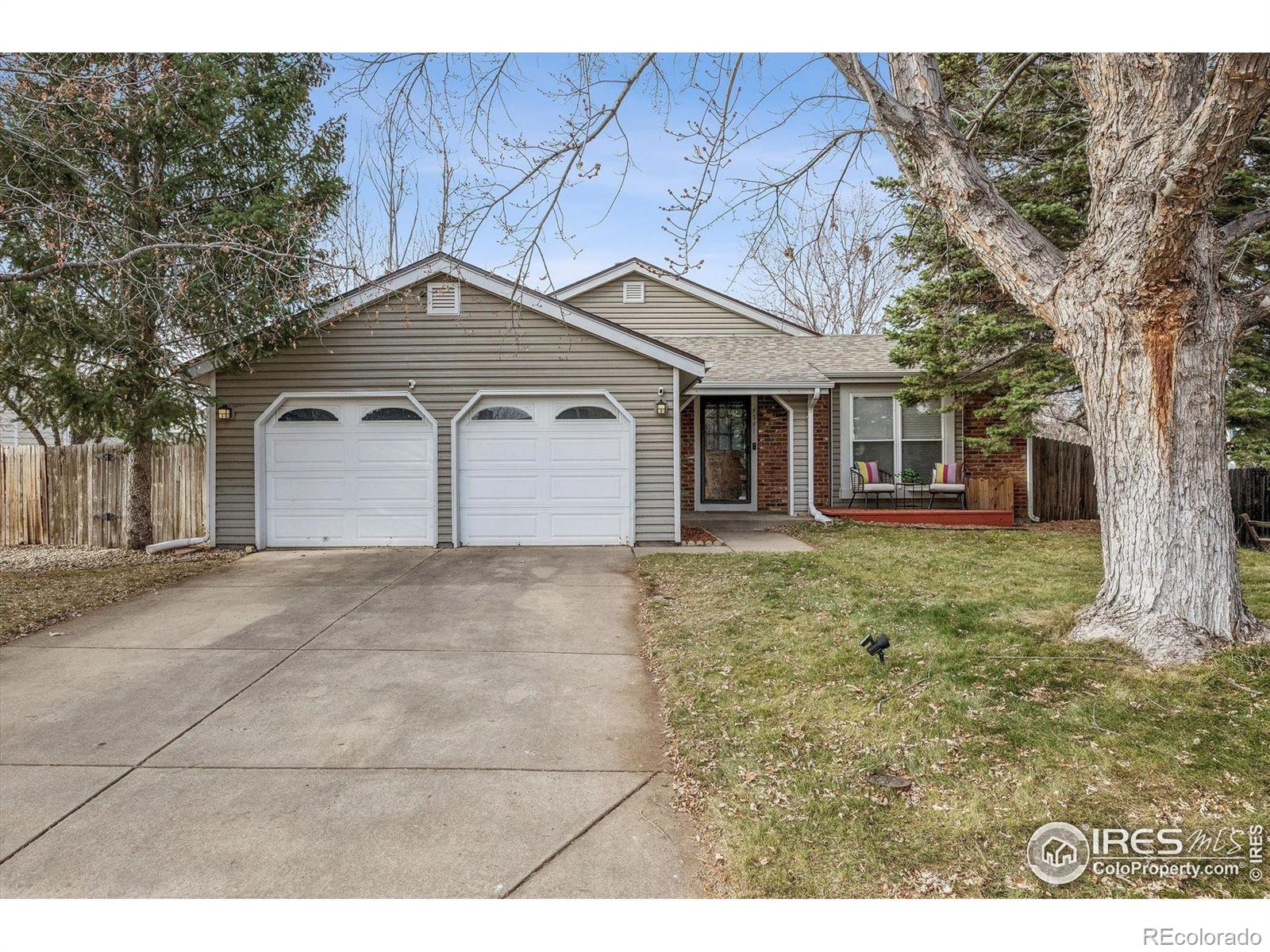MLS Image #6 for 4541  ensenada street,denver, Colorado