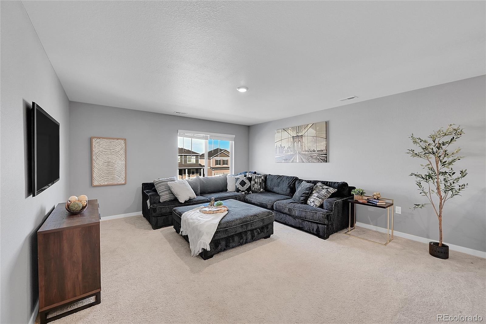 MLS Image #14 for 18142  prince hill circle,parker, Colorado