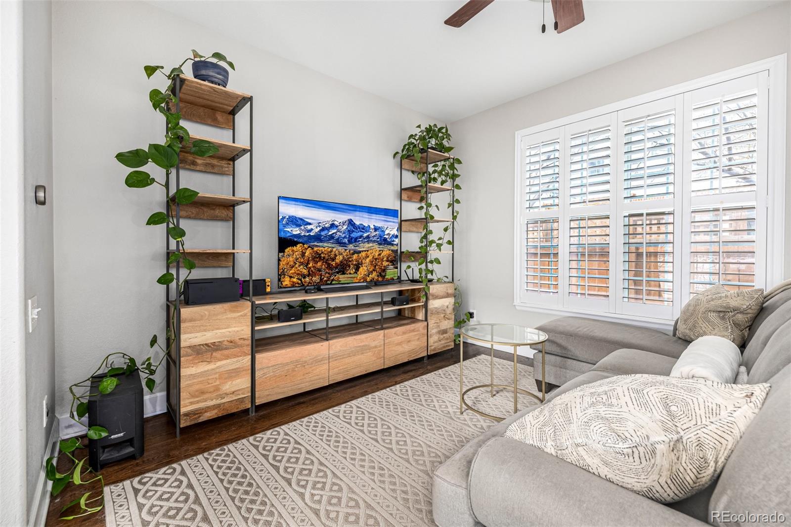 MLS Image #11 for 1003  roslyn court,denver, Colorado