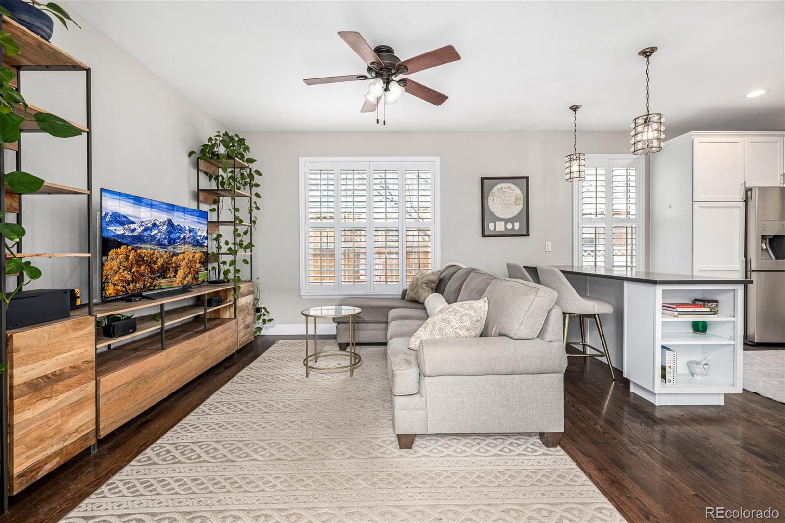 MLS Image #12 for 1003  roslyn court,denver, Colorado