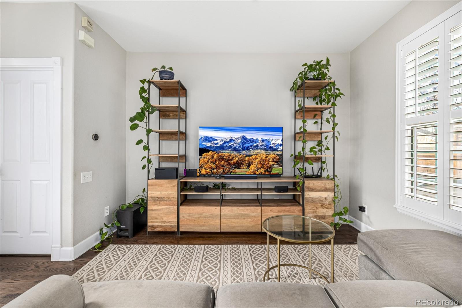 MLS Image #15 for 1003  roslyn court,denver, Colorado