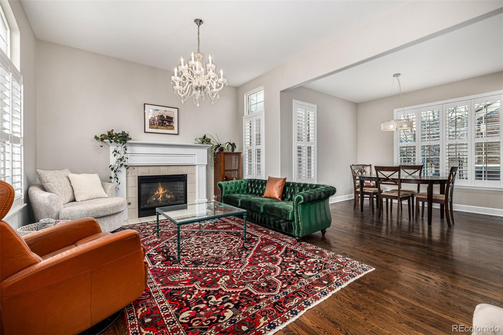 MLS Image #3 for 1003  roslyn court,denver, Colorado